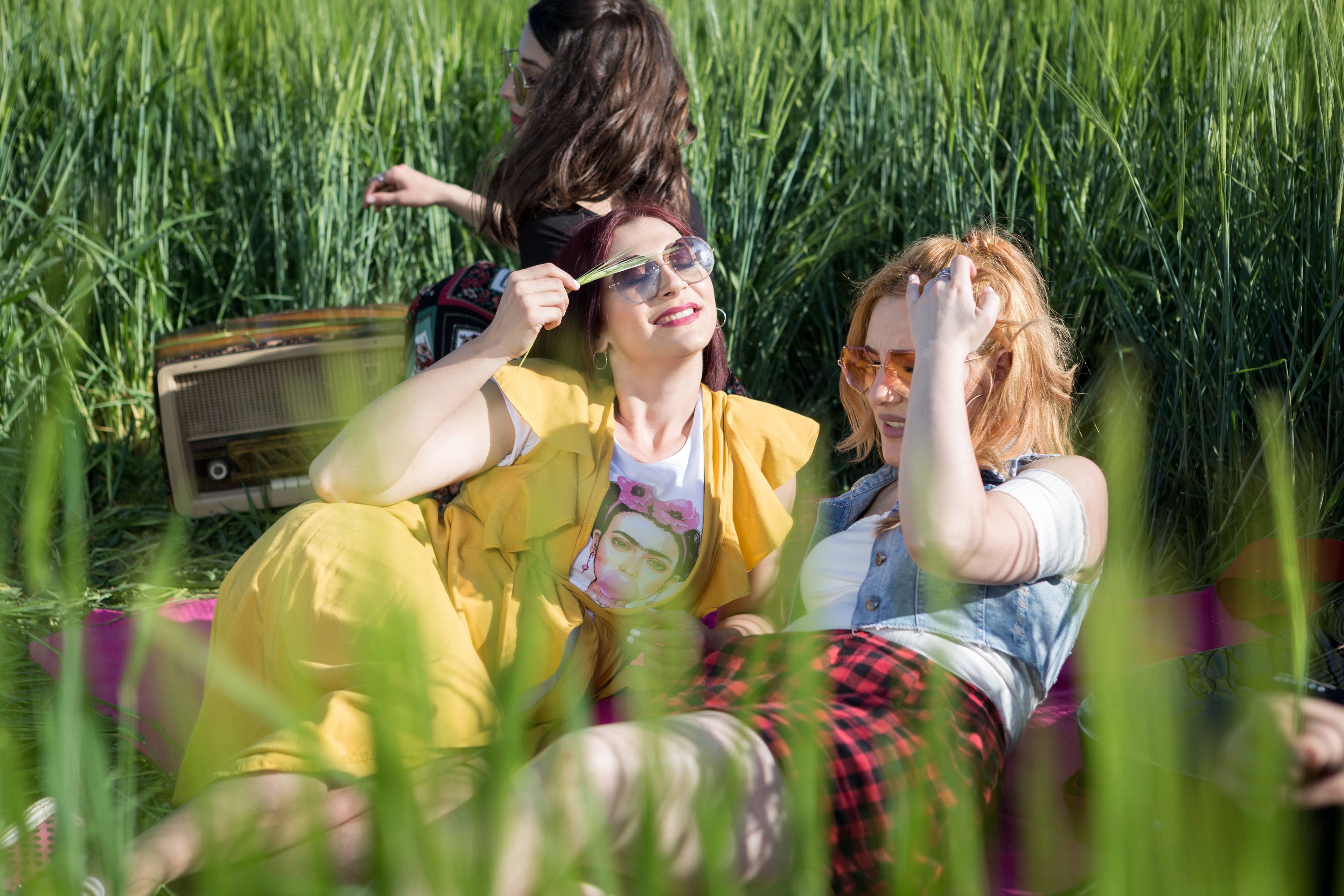 д чикс the chicks девојките