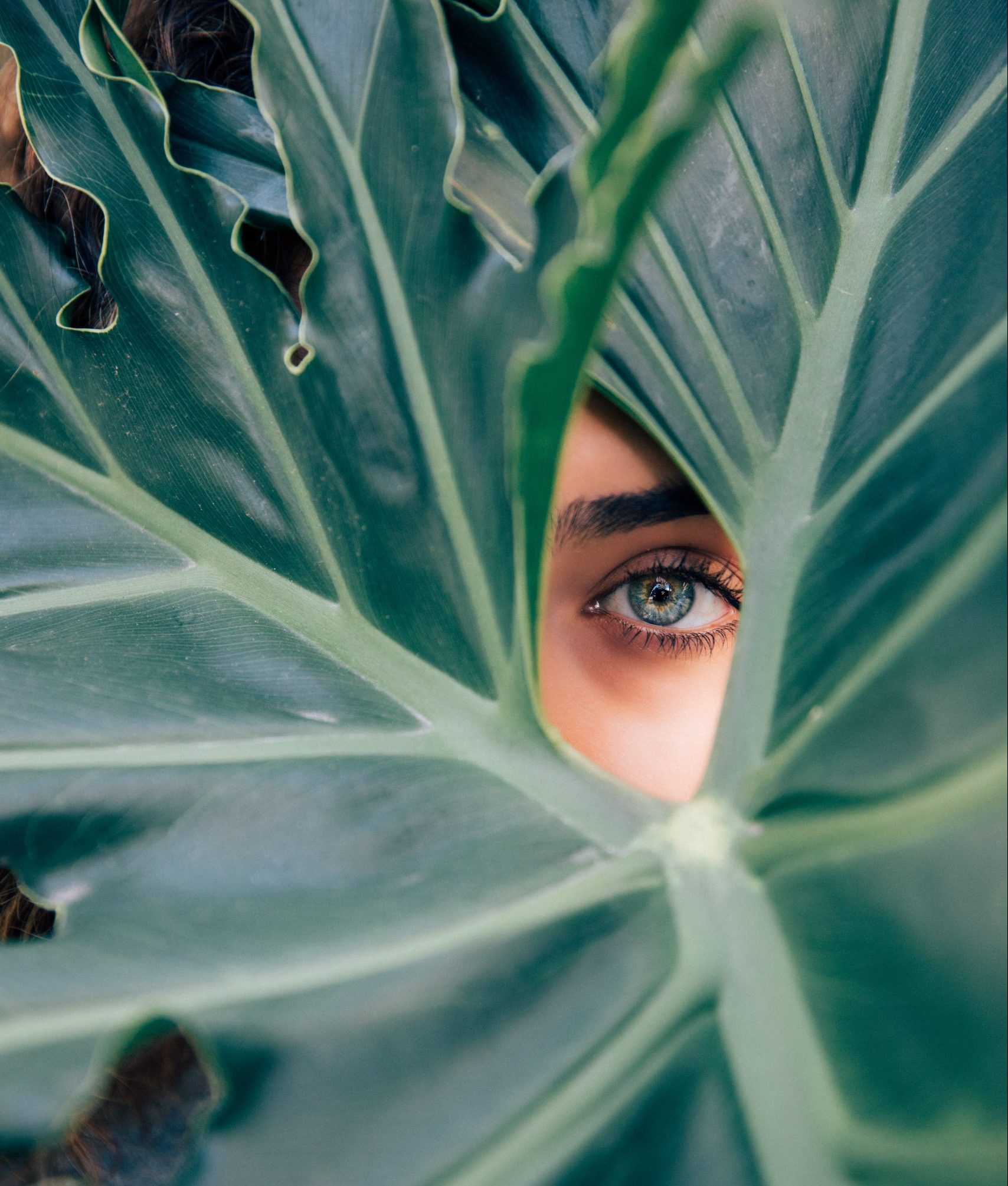 unsplash