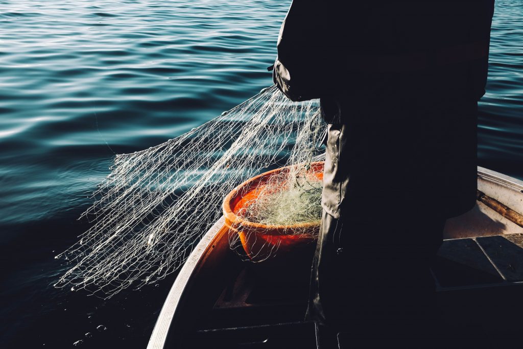unsplash