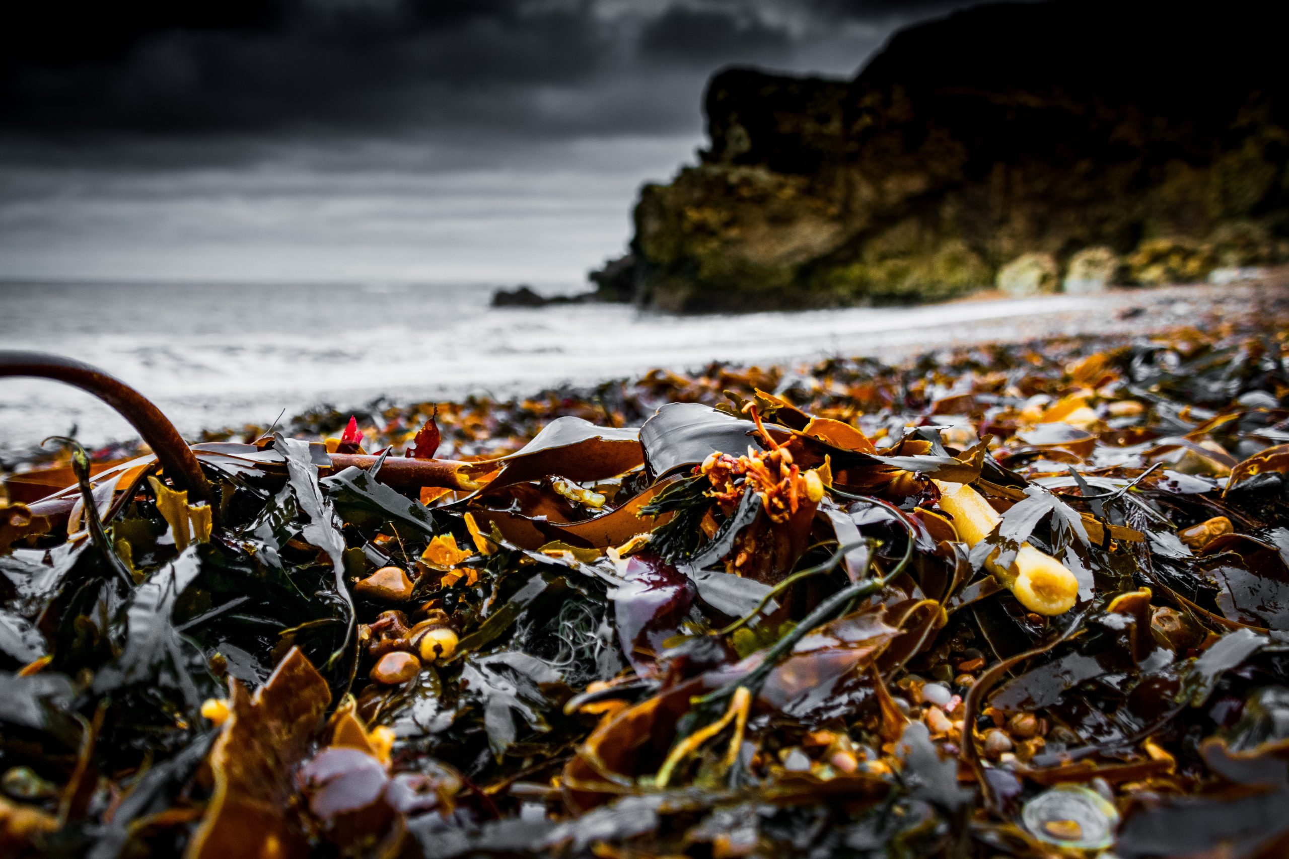unsplash