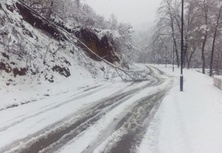 зима пат снег