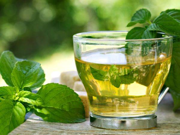 Το τσάι μέντας βοηθά στην απώλεια βάρους θεραπεία αδυνατίσματος με φυσικούς χυμούς