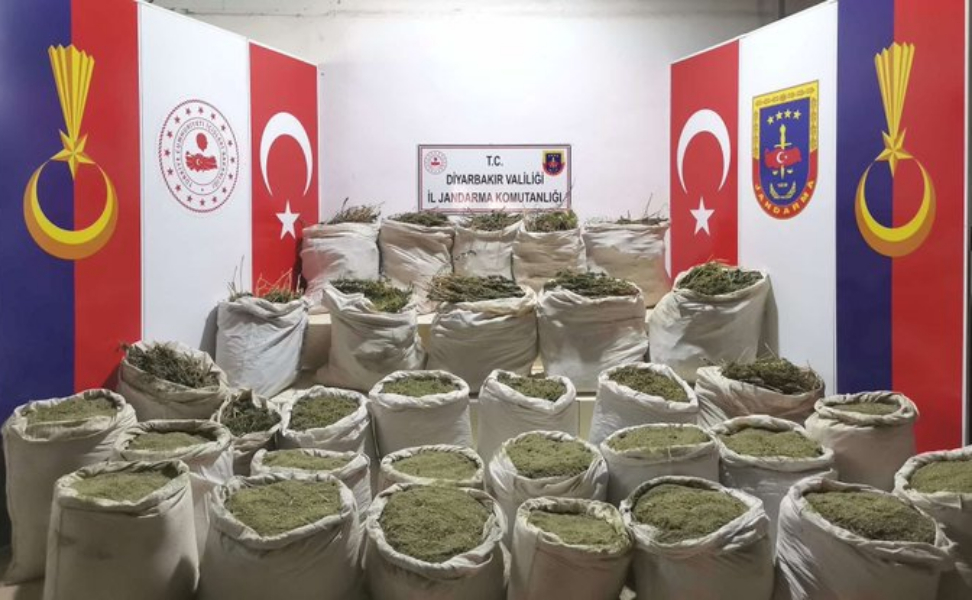 Хашиш во прав