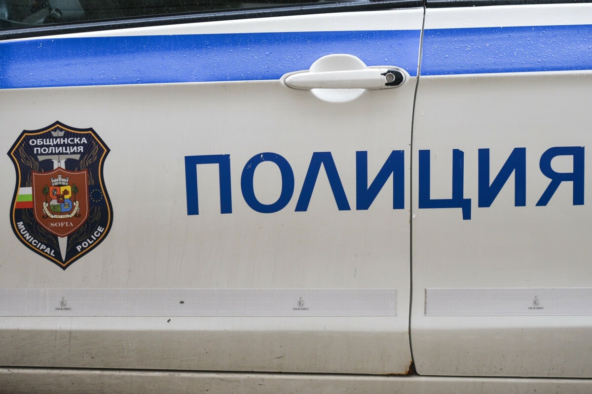 Бугарска полиција, Бугарија