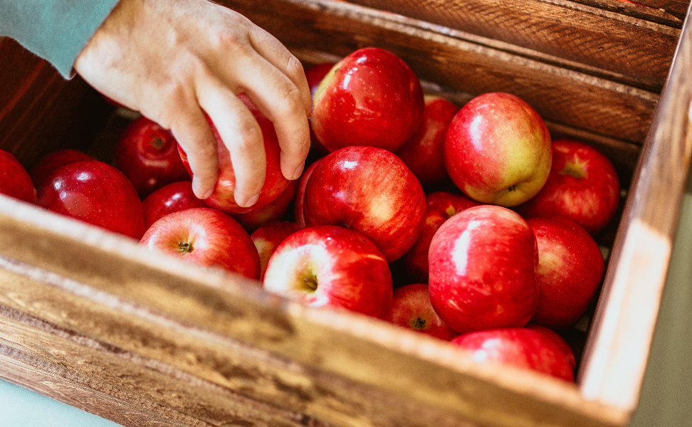 Suggerimento per il risparmio: come mantenere le mele fresche più a lungo -  Free Press