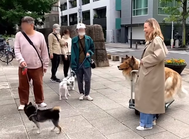 VIDEO | Japanese man in £12.000 dog costume goes outside: 'My first walk' -  Free Press