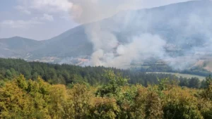 За 23 години во земјава имало вкупно 4.811 пожари, изгореле над два милиони метри кубни шума