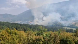 ЦУК: Утрово регистрирани осум пожари, под контрола е пожарот на Кожуф