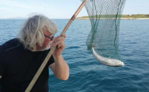 ФОТО | Најотровната риба на светот уловена во Хрватска: Нејзиниот отров може да убие 30 луѓе