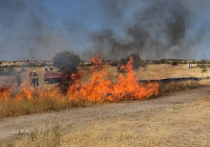 Сите пожари во скопскиот регион се изгаснати или ставени под контрола