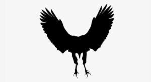Тест на личноста: Дали лесно ја напуштате својата зона на удобност?