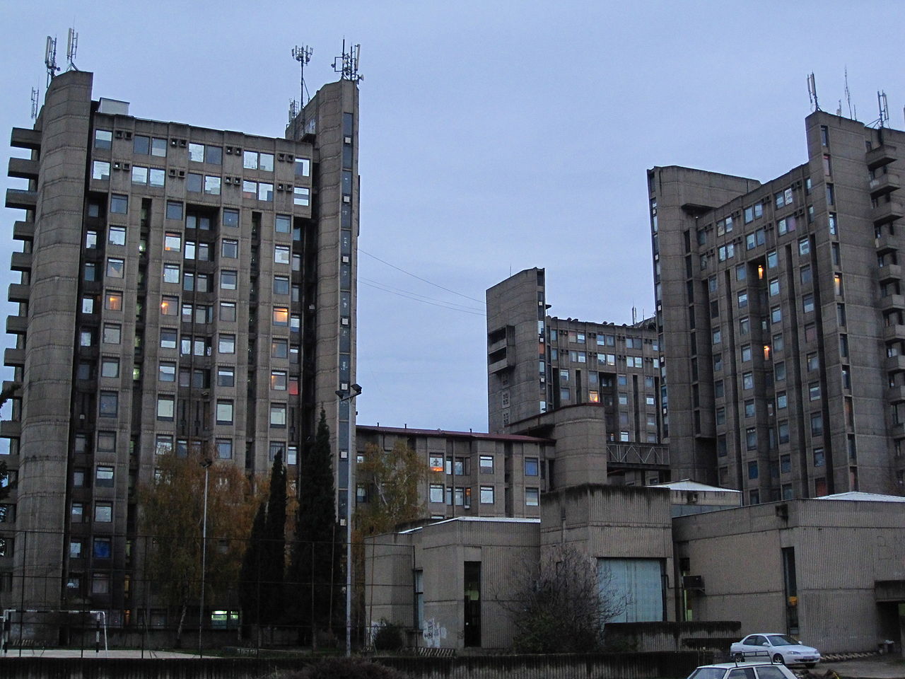 Фото Википедија