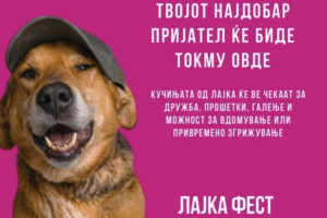 Денеска и утре „Лајка-Фест“ во Градски Парк – едукација за сопствениците и можност за вдомување на миленик