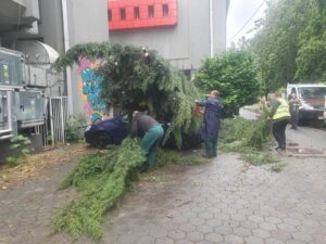 И попладнево се очекува невреме, скопјани да не ги паркираат возилата под дрвја