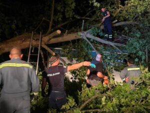 ФОТО: Силно невреме синоќа го зафати Стар Дојран — откронати се дрвја, оштетени се натстрешници, урбана опрема на плажата, возила…