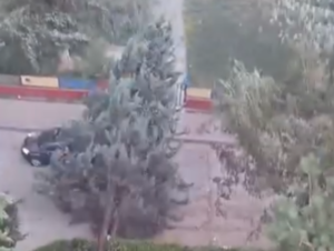 ВИДЕО | Дрво што падна за влакно промаши автомобил, невремето остави пустош и во Градскиот парк