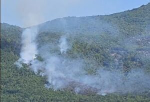 Локализиран пожарот во Валандовско